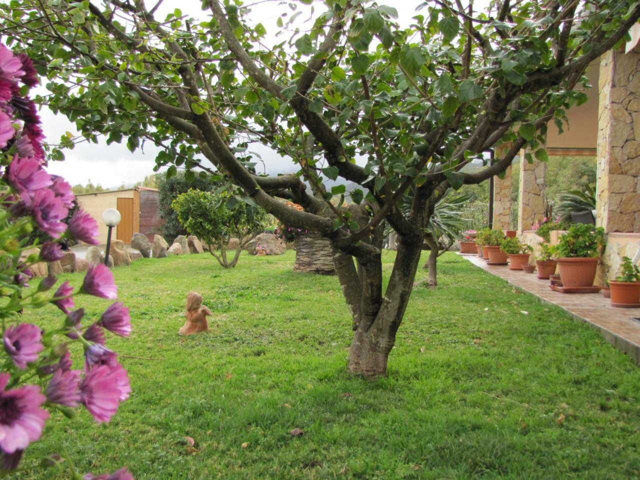 B&B Monte Gruttas Camisa Exteriér fotografie